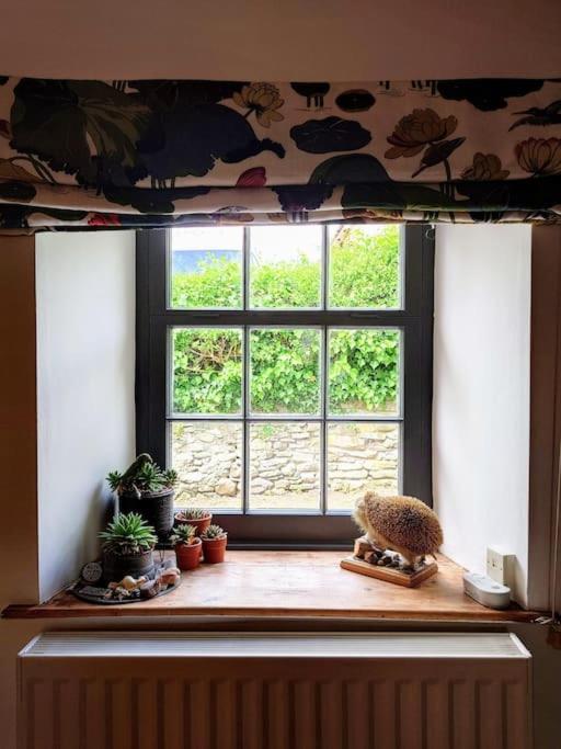 Cosy Welsh Town Holiday home Brecon